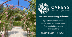 Carey's Secret Garden (Easter Campaign - Animated Ad)