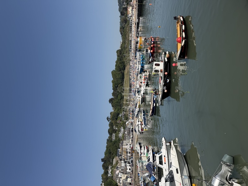 lyme water taxi review