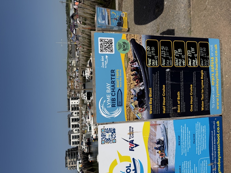 lyme water taxi review
