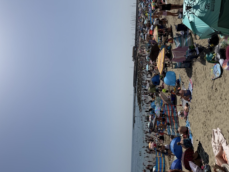 lyme water taxi review