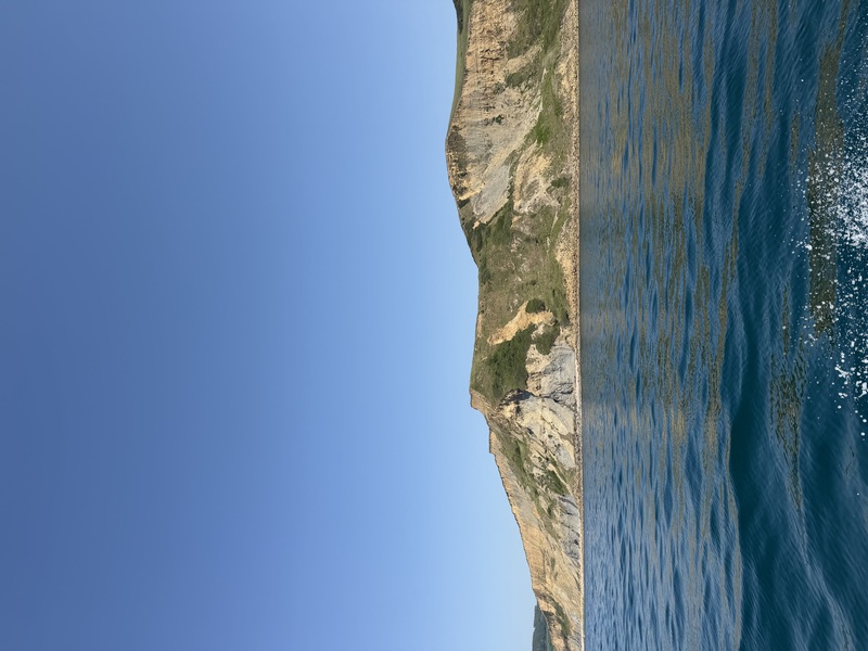 lyme water taxi review