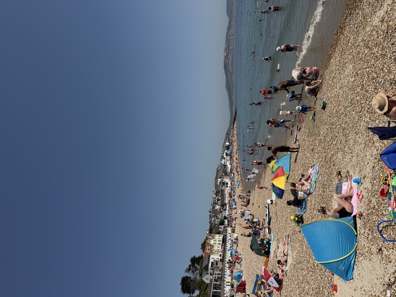 lyme water taxi review