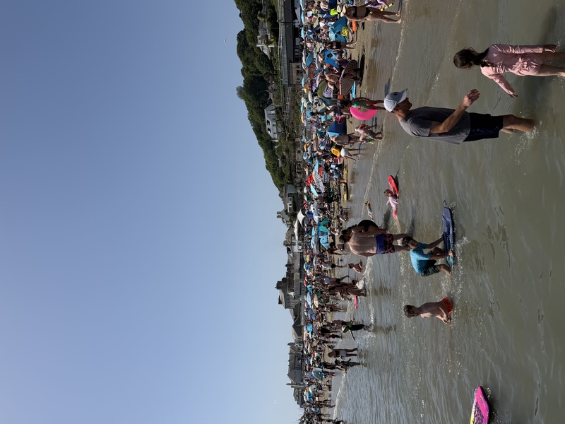 lyme water taxi review