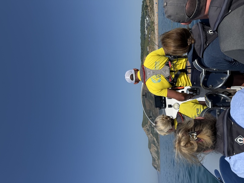 lyme water taxi review