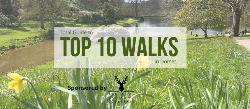Top 10 Walks in Dorset