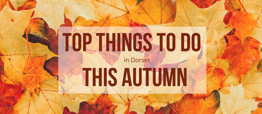 dorset autumn banner