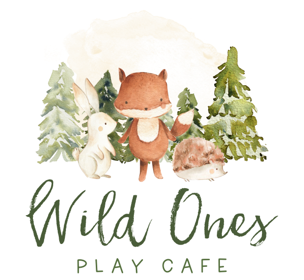 Wild Ones Play Cafe Bournemouth