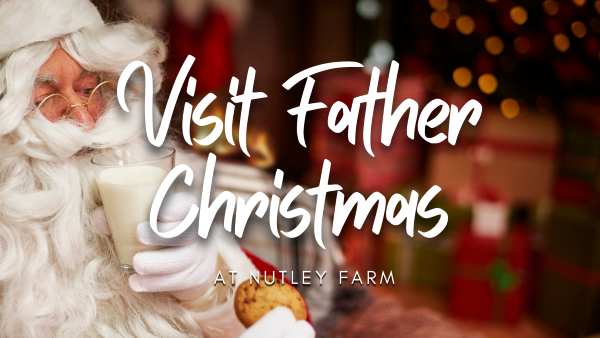 Visit Father Christmas at Nutley Farm