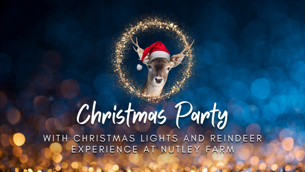 Christmas Party with Lights and Reindeer Experience at Nutley Farm