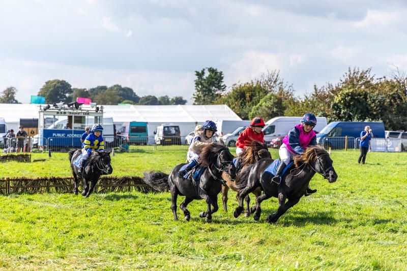 SNAPPED: Dorset County Show 2023
