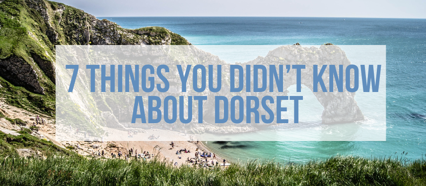 Things you didn't know about dorset