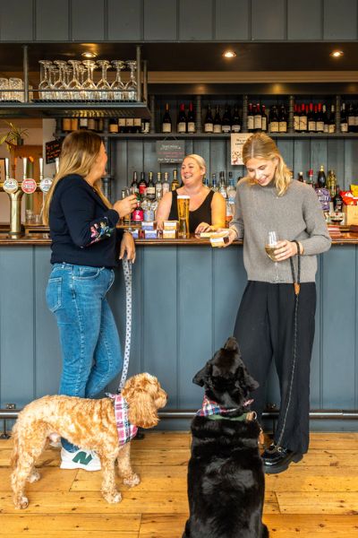 Client Image: The Britannia Dogs