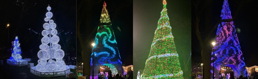 Bournemouth Christmas Tree Wonderland 2022