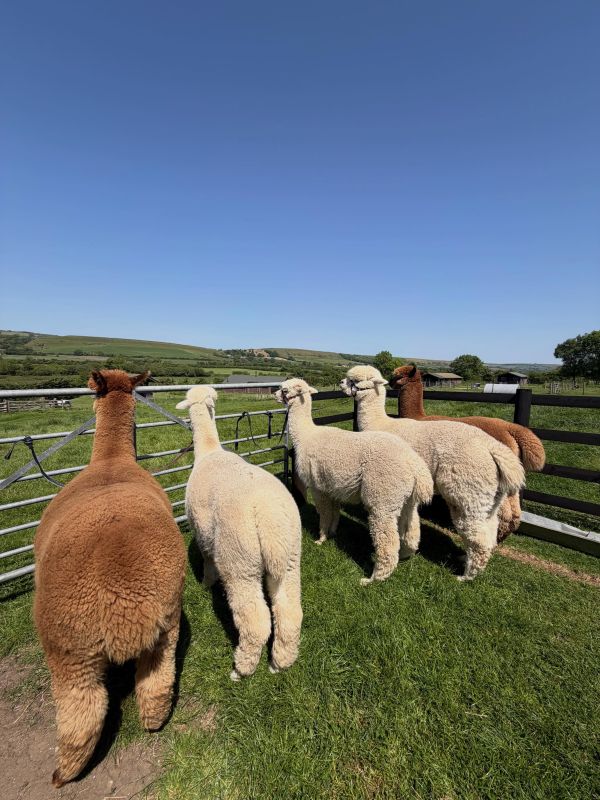 SHILVINGTON FARM