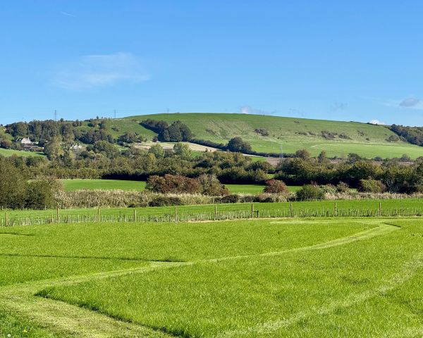 SHILVINGTON FARM