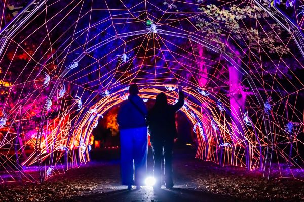Halloween at Moors Valley