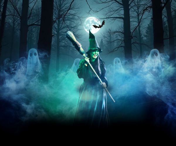 A spine tingling after dark Halloween adventure returns to Moors Valley Country Park and Forest this autumn