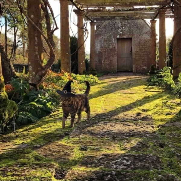 Pippa & the Pumpkin Trail