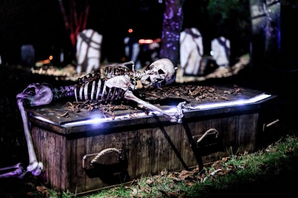 Halloween Illuminated Trail at Moors Valley