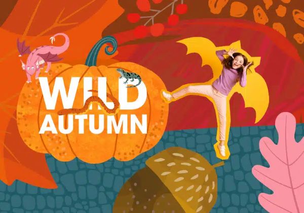 October Half Term at Marwell Zoo