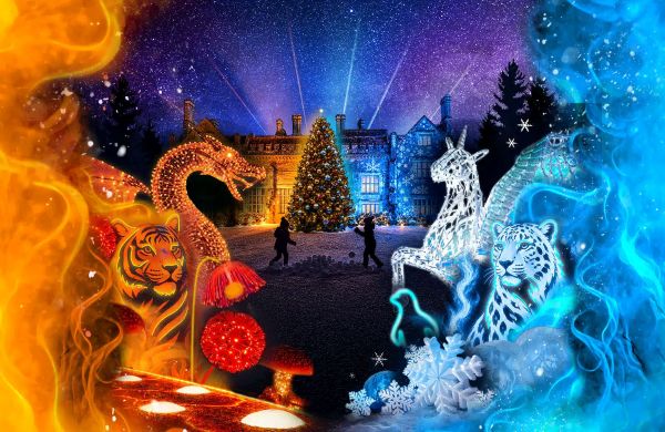 Christmas at Marwell Zoo