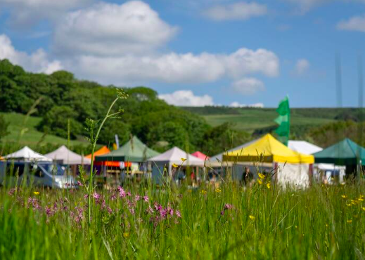Abbotsbury Swannery Fair