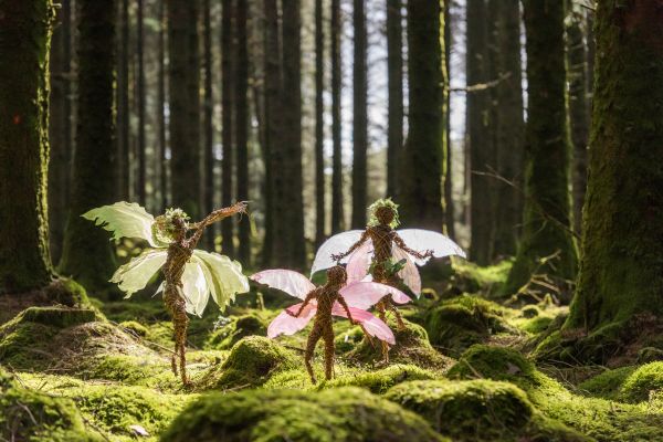 WIN a Family Ticket to the Dragon & Fairy Trail at Minterne House and Gardens