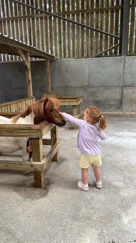 Farmer Palmer’s Farm Park – A Fun-Filled Day for Little Farmers