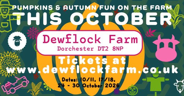 Dewflock Farm Pumpkin Picking – Family-Friendly Pumpkin Patch Near Dorchester