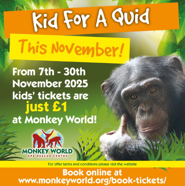 Kid 4 a Quid this November!