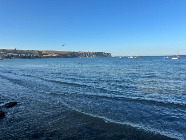 Swanage Video Footage 
