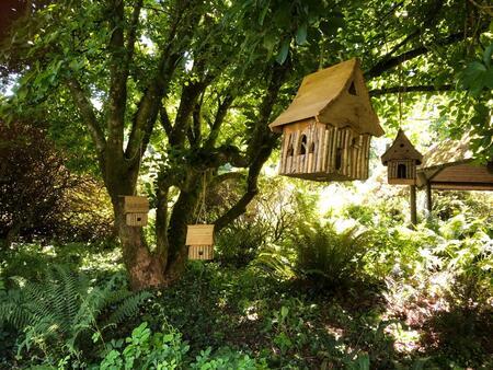 Dragon & Fairy Trail at Minterne House and Gardens