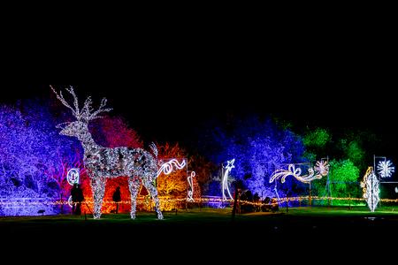 Nutley Farm Christmas 2026