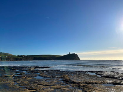 Kimmeridge Bay Liz