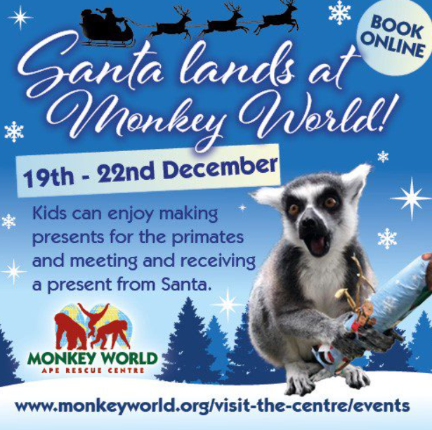 monkey world santa