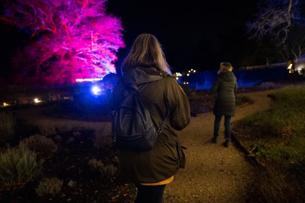 careys secret garden