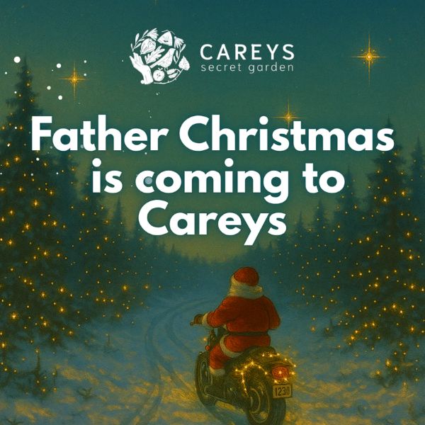 Father Christmas at Carey's Secret Garden