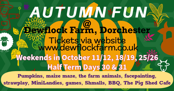 Pumpkins and Fun at Dewflock Farm