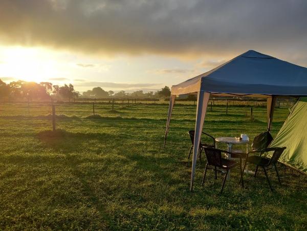 Family-Friendly Camping at Farmer Palmer's in Dorset