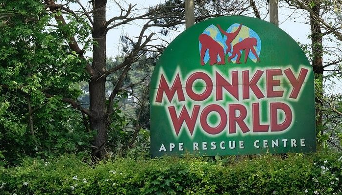 Monkey World Poole