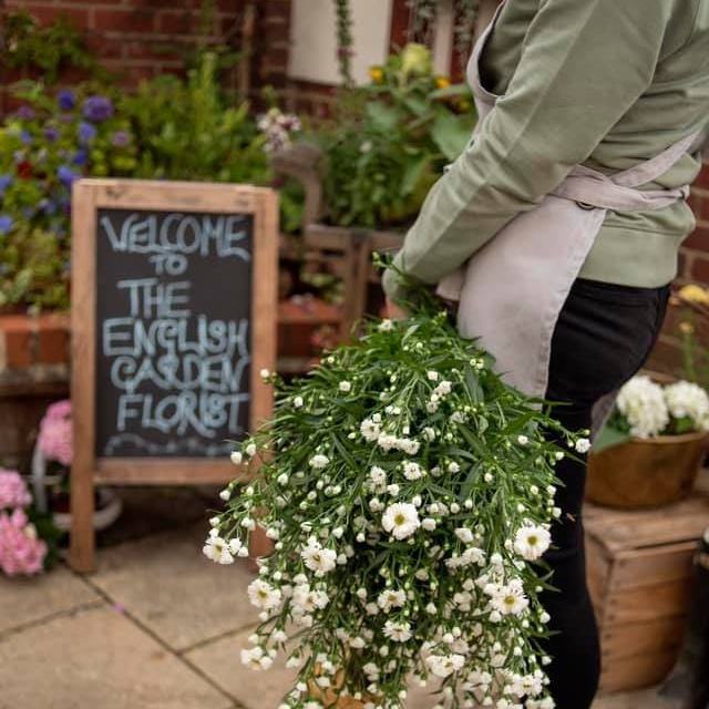 The English Garden Florist