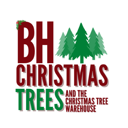 BH Christmas Trees Bournemouth