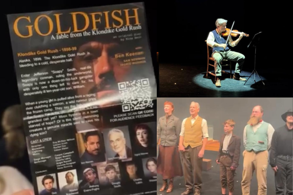 Theatre Review: Goldfish Brings an Unusual and Imaginative Story to Bournemouth