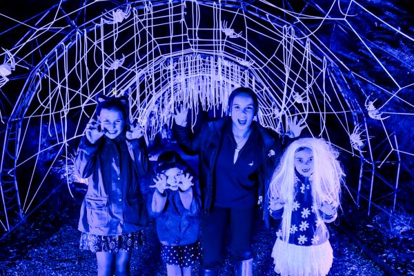 Illuminated Halloween trail returns to Moors Valley this autumn with brand new attractions and extra dates