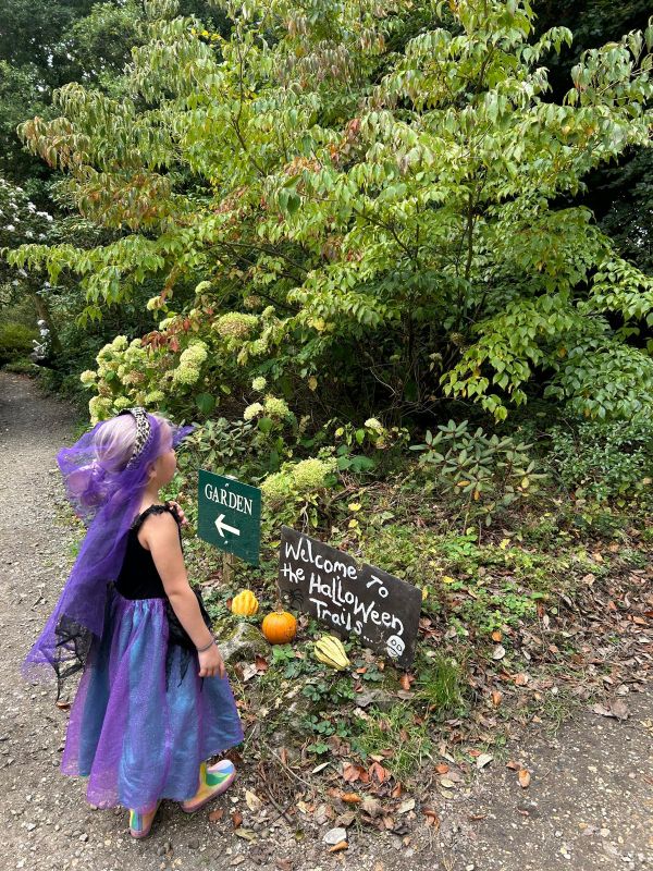 minterne trail review