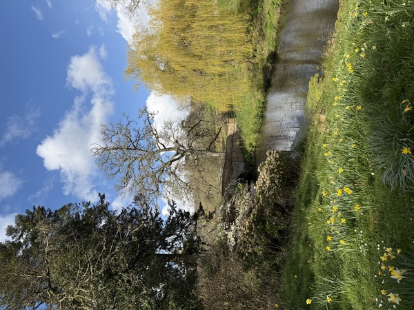 minterne house easter 