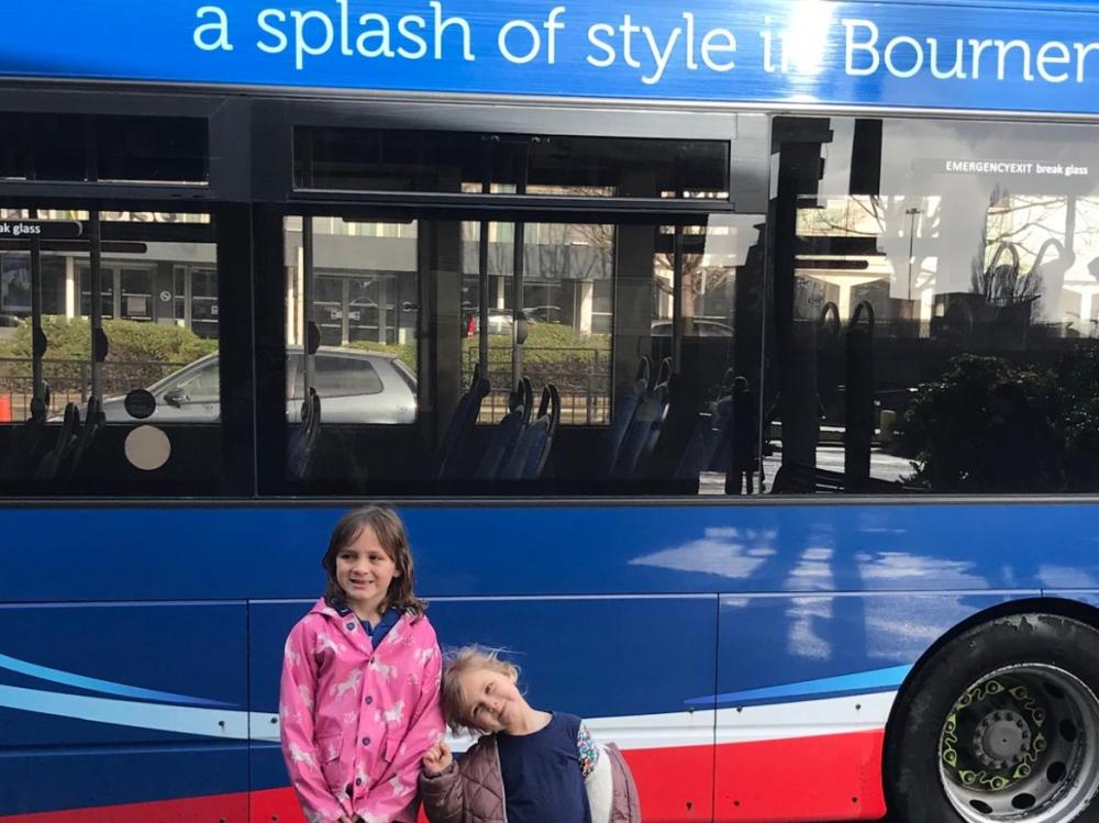 Discover Local Events with More Bus: Your Easy, Safe, and Sustainable Travel Partner