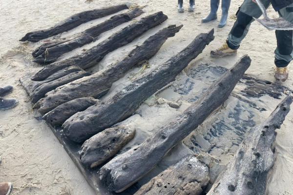 Historic Shipwreck Revealed at Studland Bay After Winter Storms