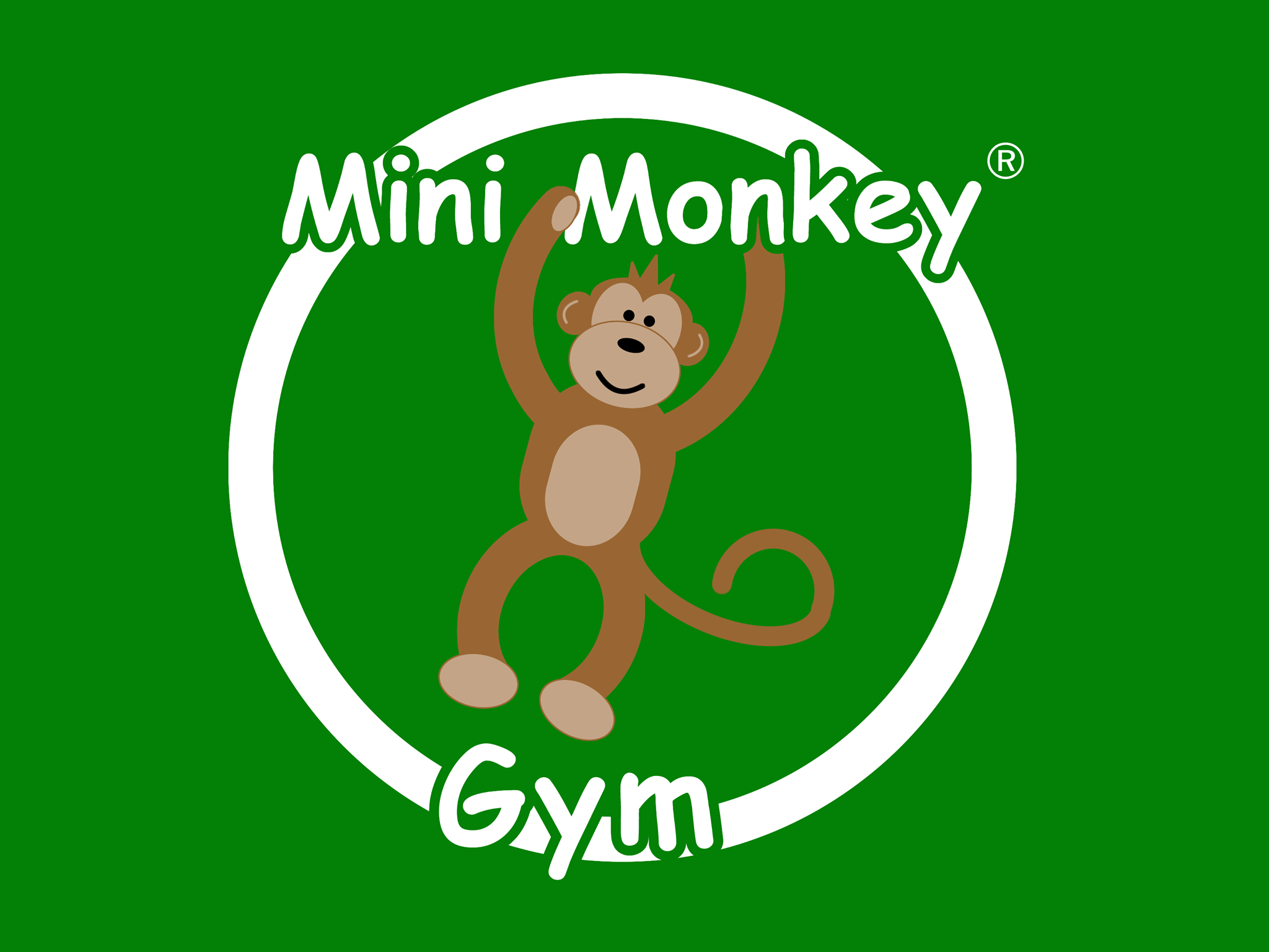 Mini Monkey Gym