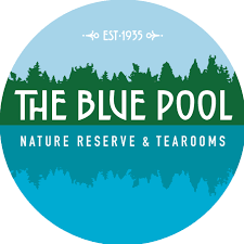 ILLUMINATE at The Blue Pool